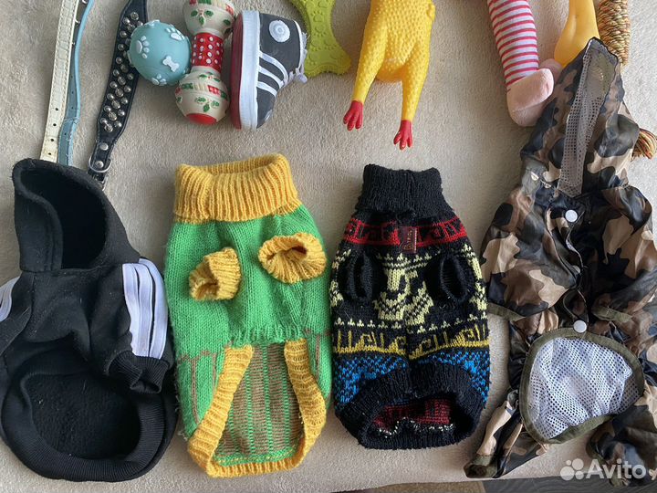 Одежда и игрушки собаке