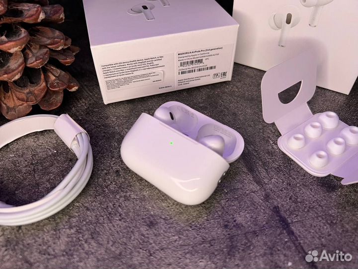 Apple наушники AirPods Pro 2 / AirPods Pro / чехол