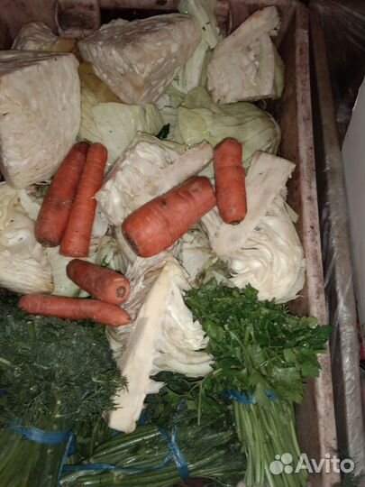 Корма для животных