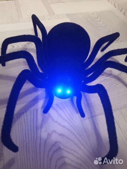 Паук на пульте управления