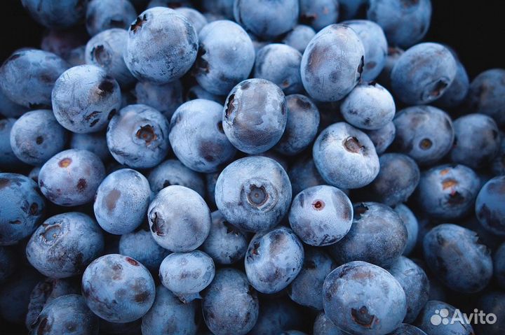 Замороженная черника в розницу и оптом