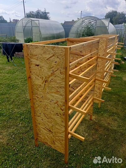 Клетки для перепелов, инкубатор