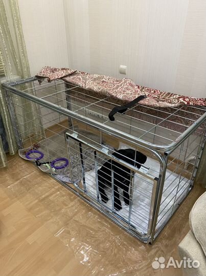 Клетка вальер для больших собак новая