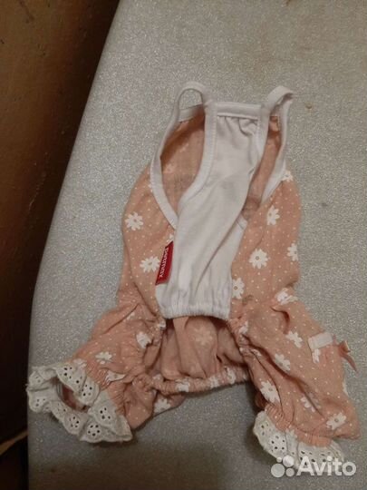 Одежда для маленьких собак -шпиц,бу