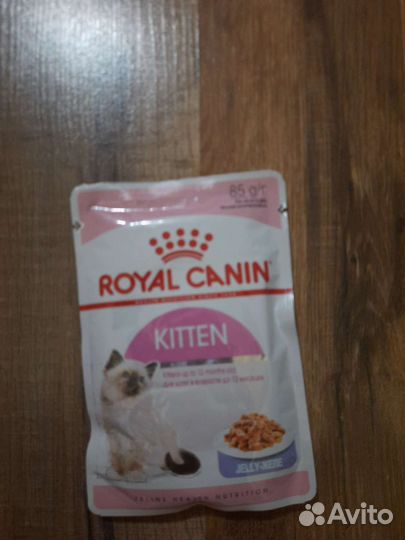 Влажный корм для котят роял канин
