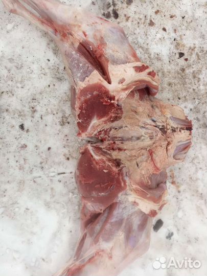 Мясо для собак