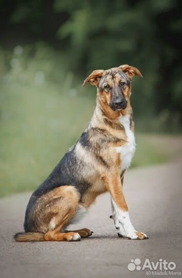 Кто потерял своего Ангела