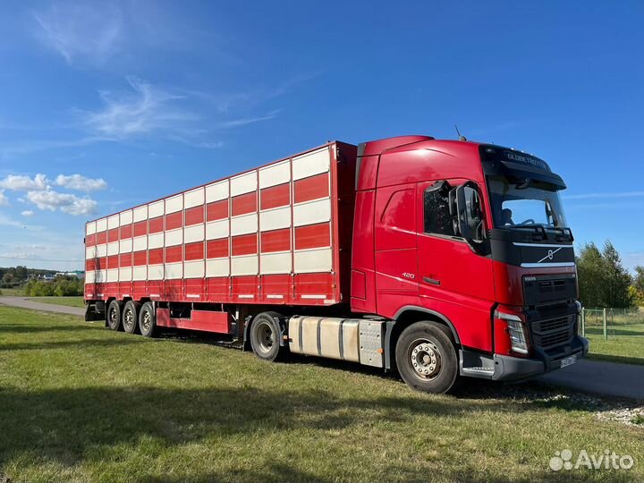 Полуприцеп для перевозки скота Pezzaioli SBA63, 2013