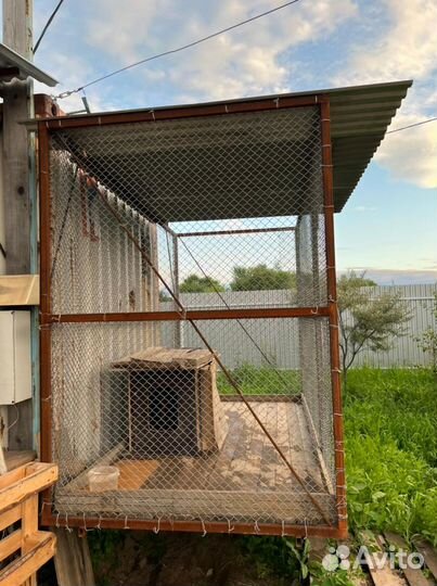 Вольер 1.5*3*2 (м.)