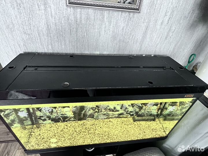 Аквариум с тумбой 240л
