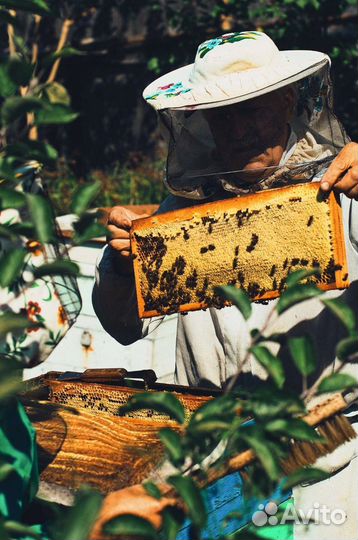 Настоящий мёд для своих