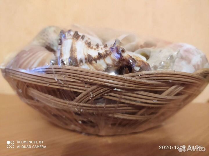 Набор морских ракушек + коралл