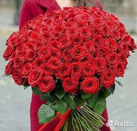 Розы гиганты 140 150 160 170 180 200