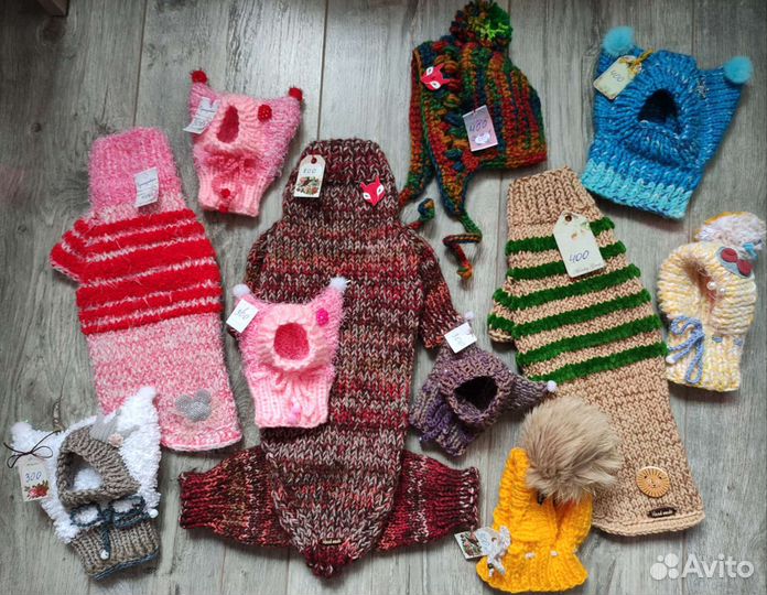 Одежда для животных