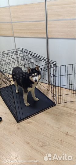 Клетка для собаки бу