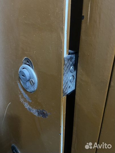 Входная металлическая дверь 210x88