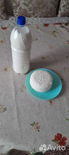 Продаю козье молоко,яйца и козий сыр