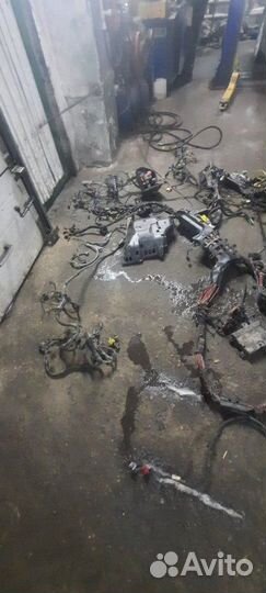 Жгут проводов двигателя Volkswagen Phaeton 3D8 BGH