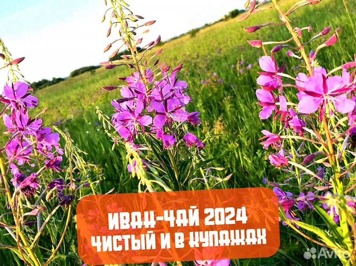 1 кг Иван-чай 2024: смородина,апельсин,ягоды и др