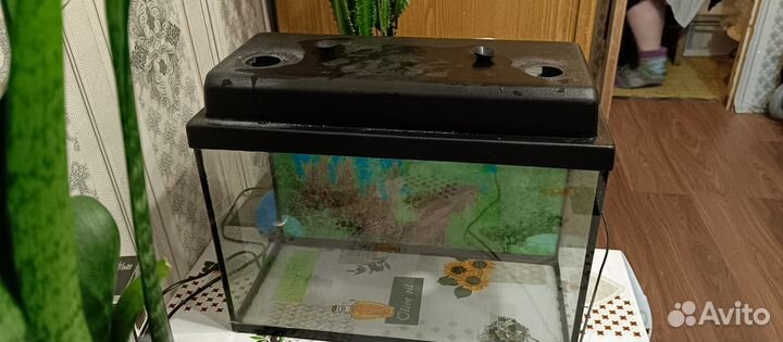 Аквариум