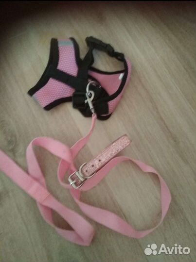 Шлейка для котов, кошек и собак