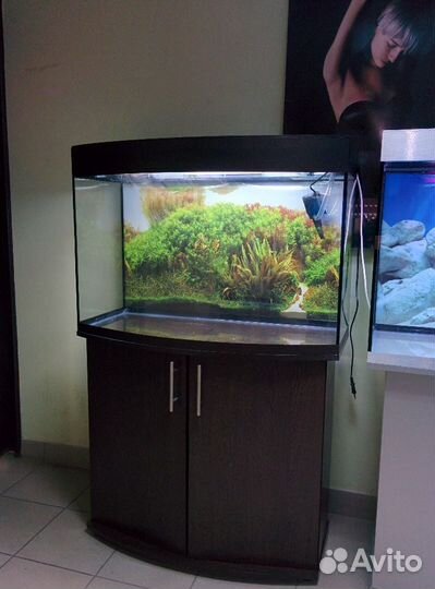 Аквариум 200 полукрулый, свет, биофильтр, фон