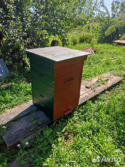 Рамки б/у. Ульи