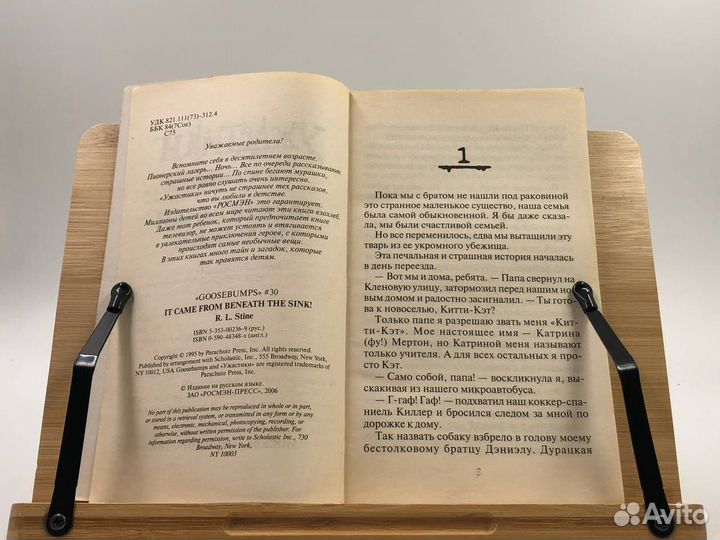 Стайн Р. Л. Загадочная находка. Ужастики