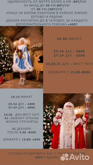 Дед Мороз и Снегурочка VIP