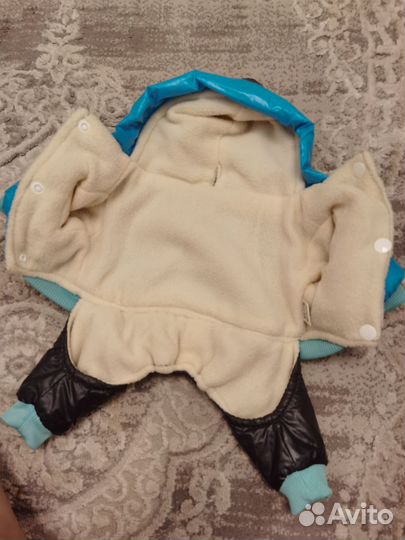 Одежда для маленьких собак s