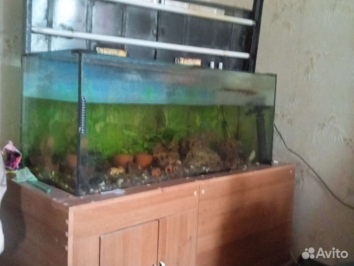 Аквариум с тумбой с крышкой