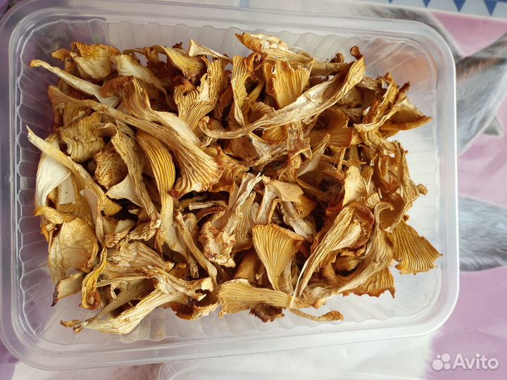 Сушеные грибы
