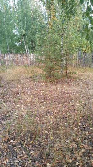 Участок 10 сот. (СНТ, ДНП)