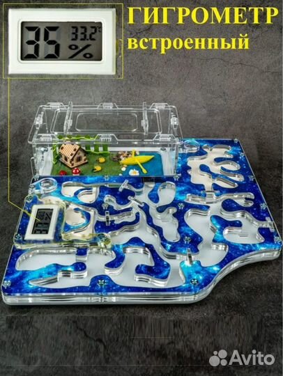 Муравьиная ферма 