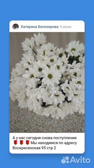 Розы Хризантемы