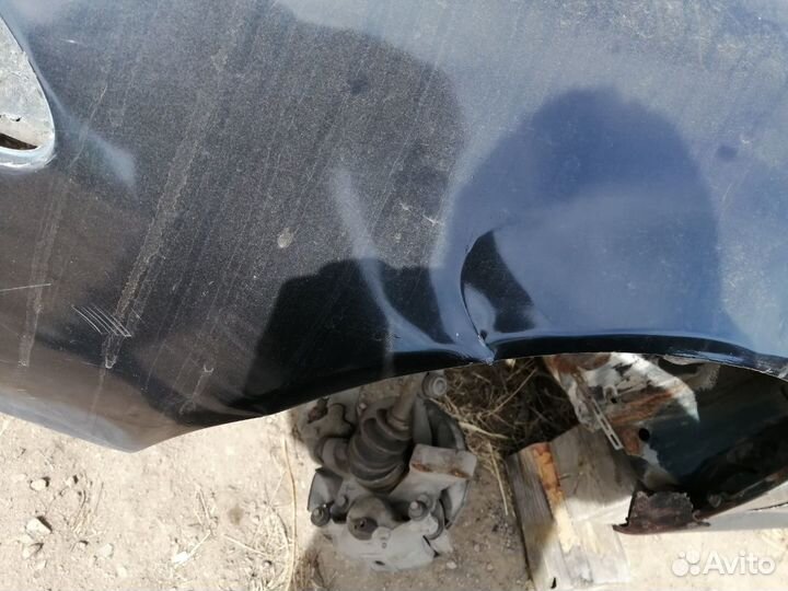 Крылья передние на Марино