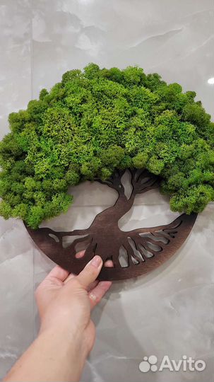 Стабилизированные растения