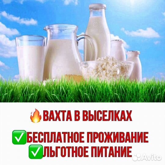 Упаковщик. Работа в Выселках