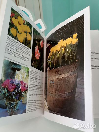 Иллюстрированная энциклопедия Луковичные растения