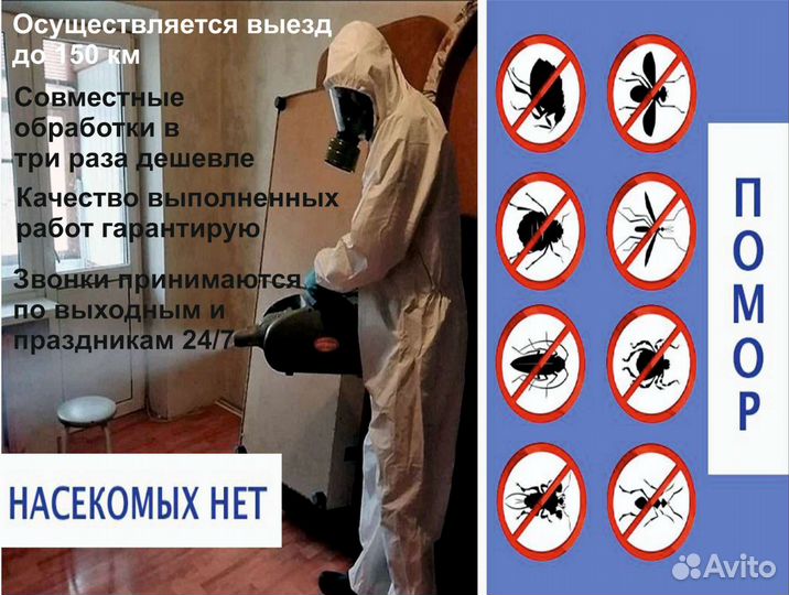 Уничтожение тараканов клопов блох короеда мышей ос