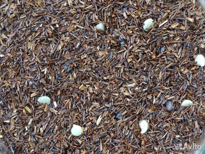 Чай Ройбуш Сердцеедка