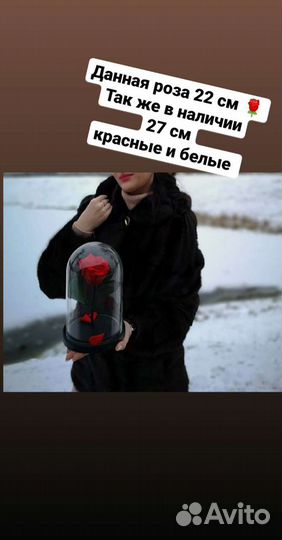 Роза в колбе