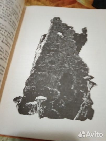 Сказки СССР