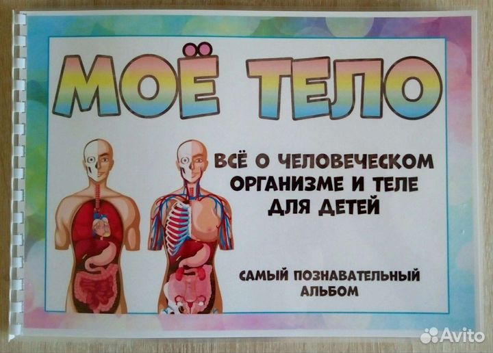 Альбом, лэпбук Мое тело