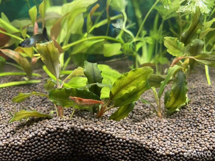 Пропант нейтральный грунт для аквариума