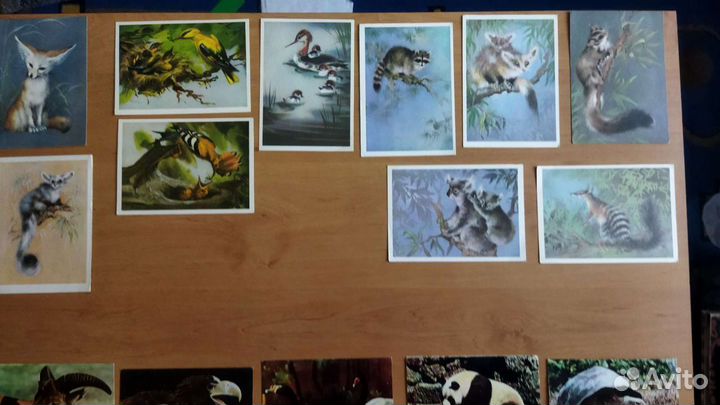 Открытки СССР