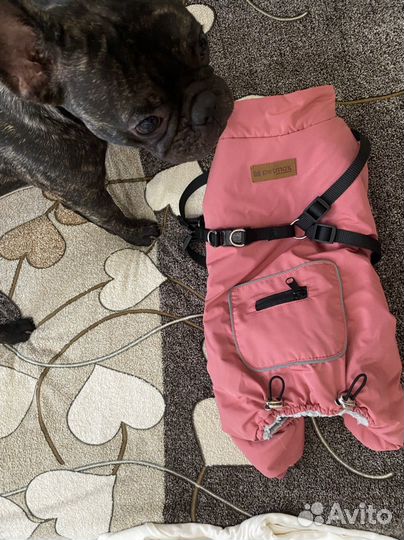 Теплый комбинезон для собаки Petmax