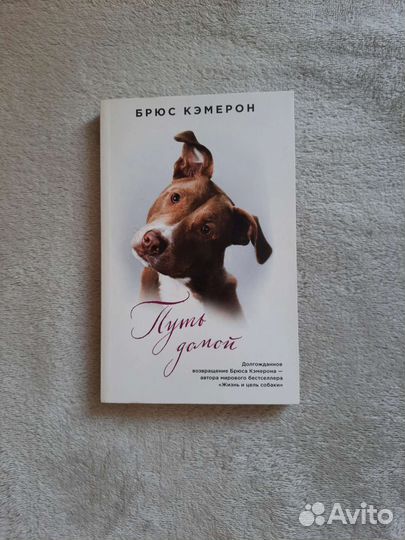 Книга путь домой