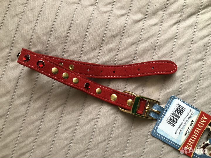 Ошейник для маленькой собаки