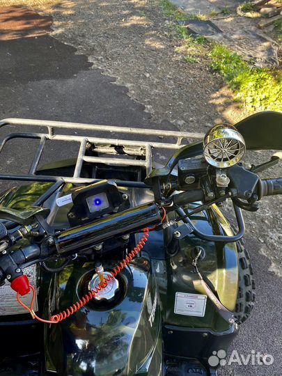 Квадрик 125 кубов